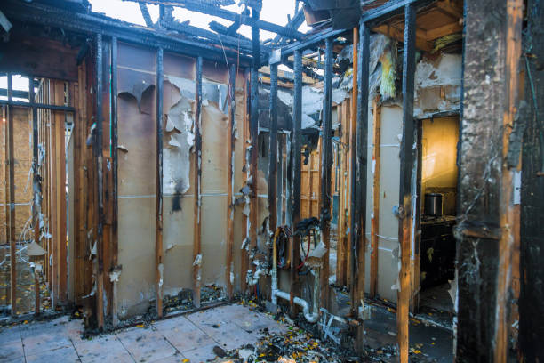 Professional Soot Cleanup technician working in Ferndale, PA
